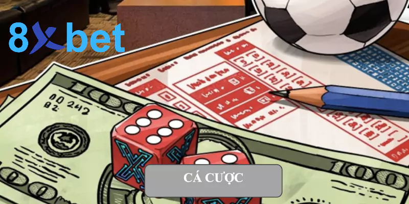 Cá cược - Hướng dẫn chi tiết nhất dành cho người mới bắt đầu Cá cược