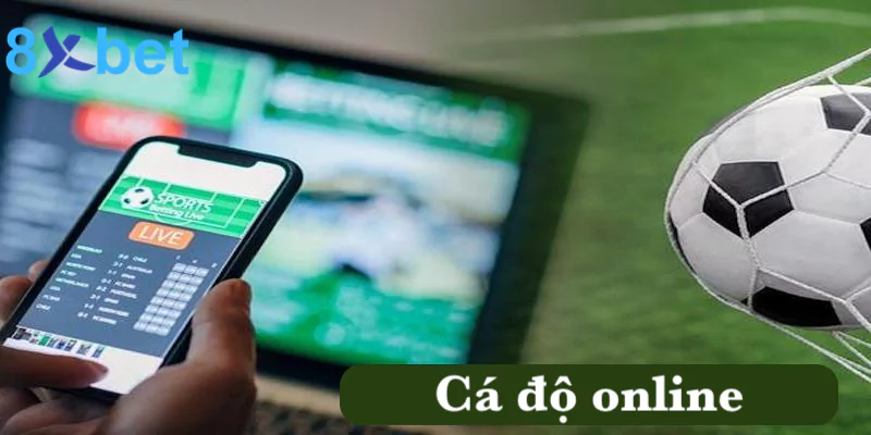 Cá độ online - Các thể loại kèo cá độ hấp dẫn tại 8xbet Cá độ online