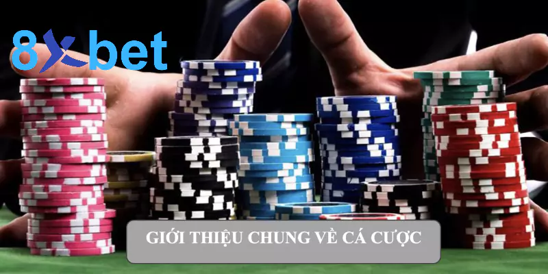 Cá cược - Hướng dẫn chi tiết nhất dành cho người mới bắt đầu Giới thiệu chung về cá cược