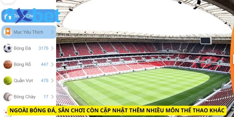 Lịch Thi Đấu 8xbet: Cập Nhật Nhanh Chóng, Chính Xác Nhất Ngoài bóng đá, sân chơi còn cập nhật thêm nhiều môn thể thao khác