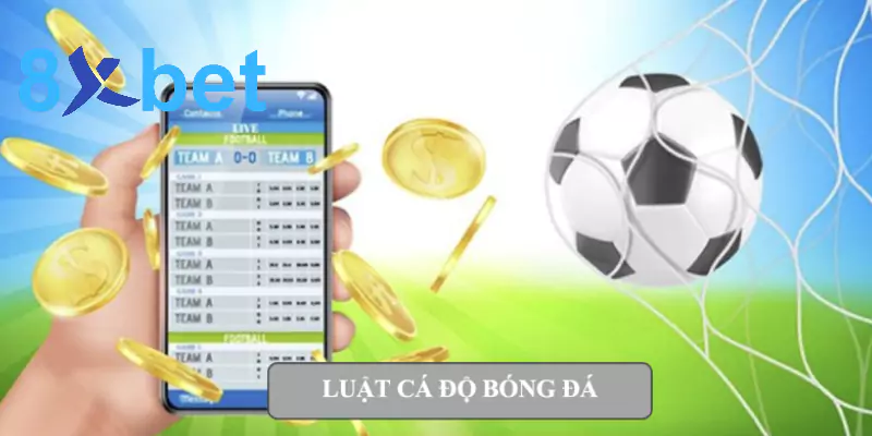 Từ A-Z về luật cá độ bóng đá cho bet thủ tại Việt Nam luật cá độ bóng đá