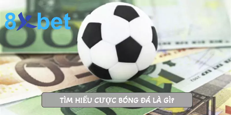 Cược bóng đá 8xbet: Hướng dẫn chi tiết cho người mới bắt đầu Tìm hiểu cược bóng đá là gì