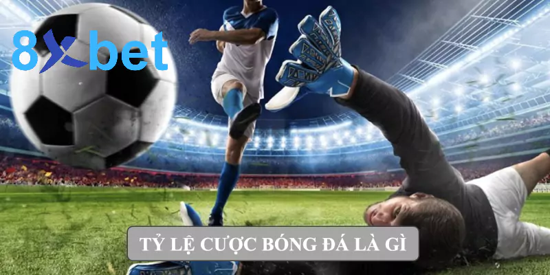 Tỷ lệ cược bóng đá là gì? Giải thích dễ hiểu về tỷ lệ cá cược Tỷ lệ cược bóng đá là gì