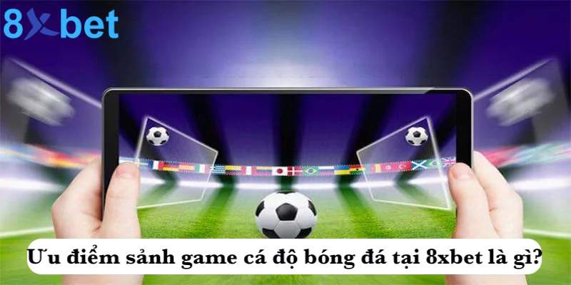 Cá độ bóng đá 8xbet - Sảnh cược thể thao hàng đầu châu Á Ưu điểm sảnh game cá độ bóng đá tại 8xbet là gì?