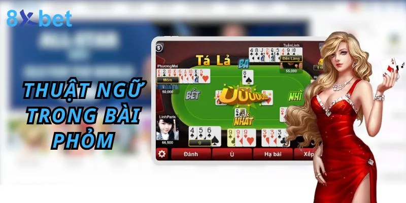 Đánh Phỏm - Hướng Dẫn Cách chơi phỏm 8xbet Thắng Lớn Những thuật ngữ cần biết khi tham gia đánh phỏm trực tuyến