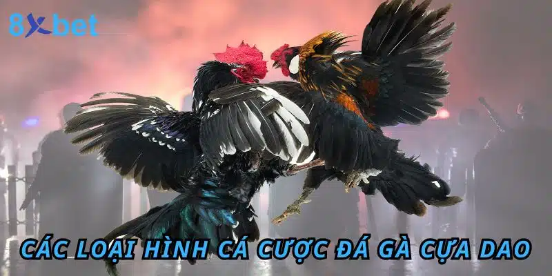 Đá gà Cựa Dao 8xbet: Luật chơi, kinh nghiệm và cách thắng lớn Các loại hình cá cược Đá Gà cựa dao tại 8XBET