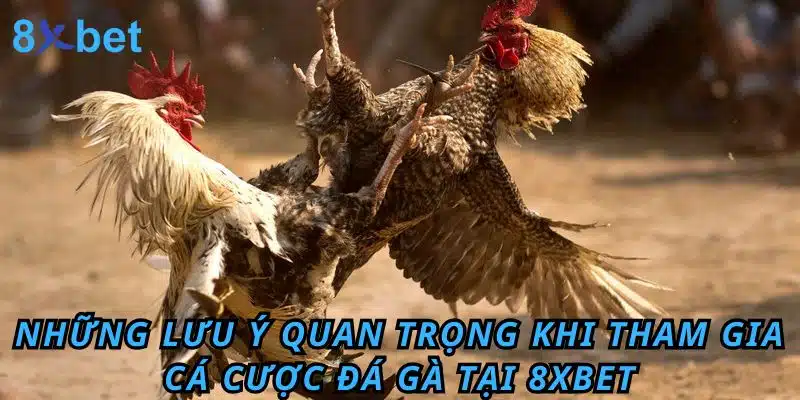 Đá gà Cựa Dao 8xbet: Luật chơi, kinh nghiệm và cách thắng lớn Những lưu ý quan trọng khi tham gia cá cược Đá Gà tại 8XBET